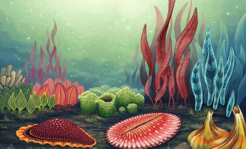 古氧濃度與單細胞生物體型的關(guān)系及其在現(xiàn)代醫(yī)藥技術(shù)中的啟示