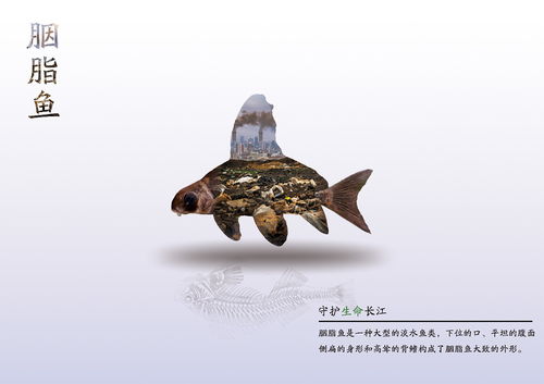 醫(yī)藥創(chuàng)新攜手長江文化 守護水生生物公益海報設(shè)計大賽